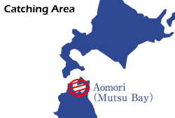 aomori