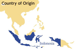 indonesia indonesia