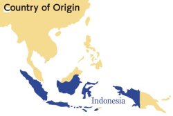 indonesia